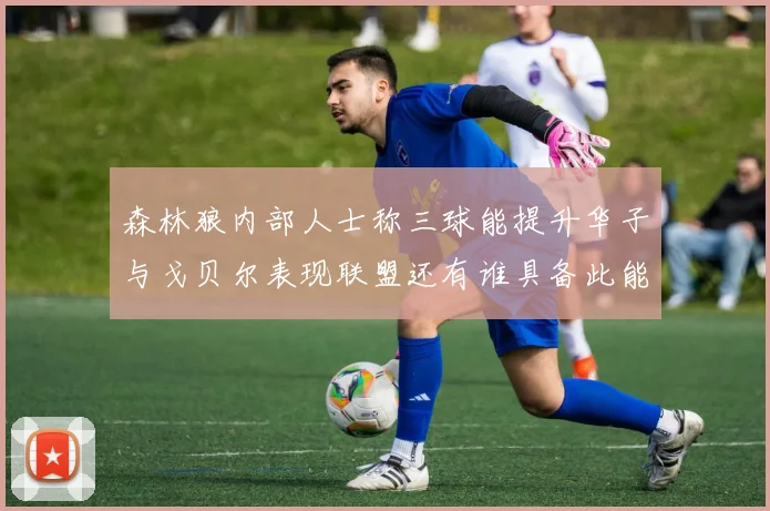 森林狼内部人士称三球能提升华子与戈贝尔表现联盟还有谁具备此能力